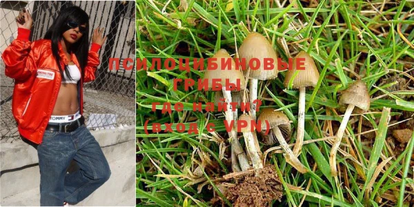 дистиллят марихуана Абаза